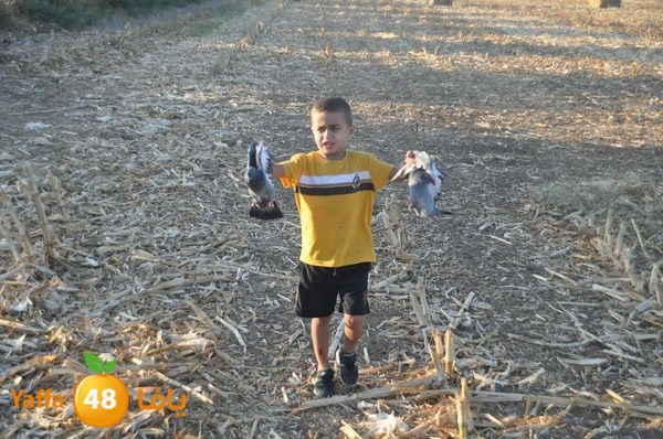 7amam lud monir 908 (42).JPG